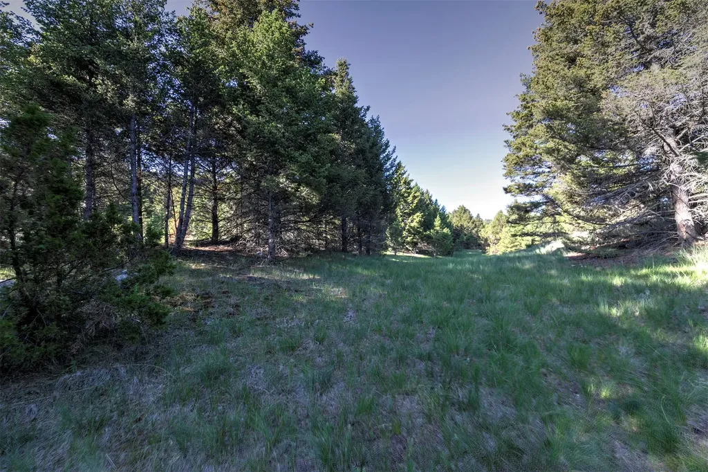 Nhn Lot 3 Phase 3a Dolus Lakes Road Deer Lodge MT 59722