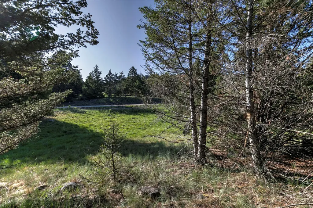 Nhn Lot 3 Phase 3a Dolus Lakes Road Deer Lodge MT 59722