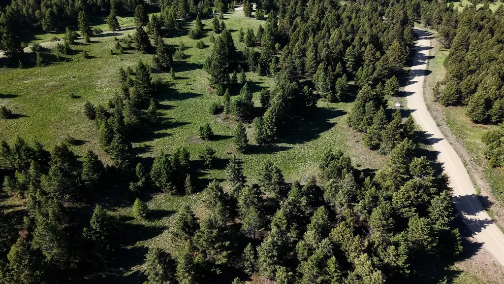 Nhn Lot 6 Phase 3a Dolus Lake Road Deer Lodge MT 59722
