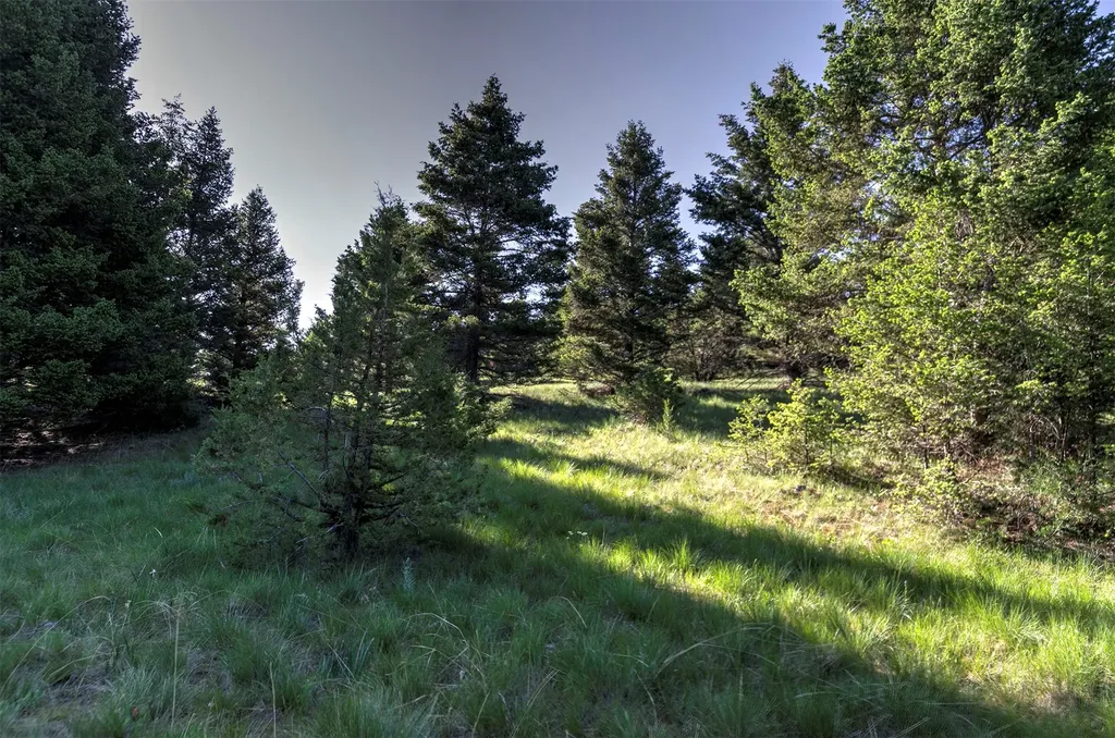 Nhn Lot 6 Phase 3a Dolus Lake Road Deer Lodge MT 59722