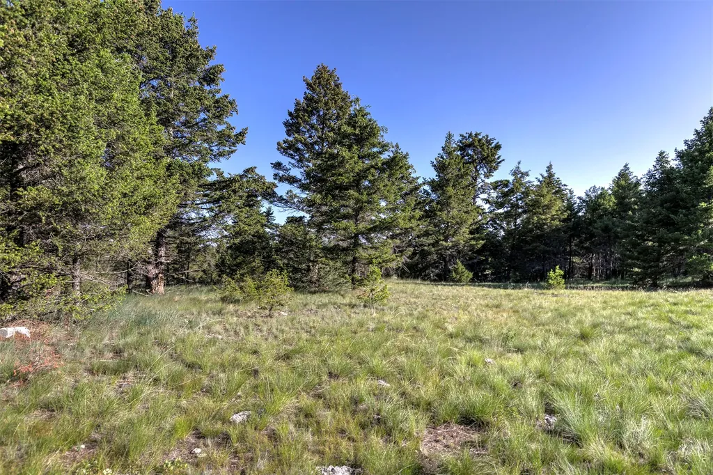 Nhn Lot 6 Phase 3a Dolus Lake Road Deer Lodge MT 59722
