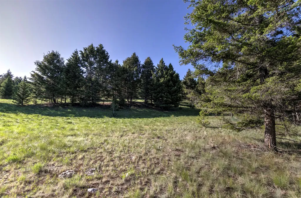 Nhn Lot 6 Phase 3a Dolus Lake Road Deer Lodge MT 59722