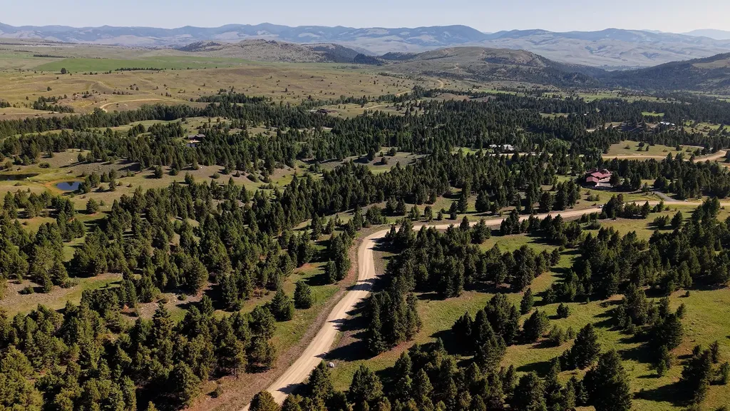 Nhn Lot 6 Phase 3a Dolus Lake Road Deer Lodge MT 59722