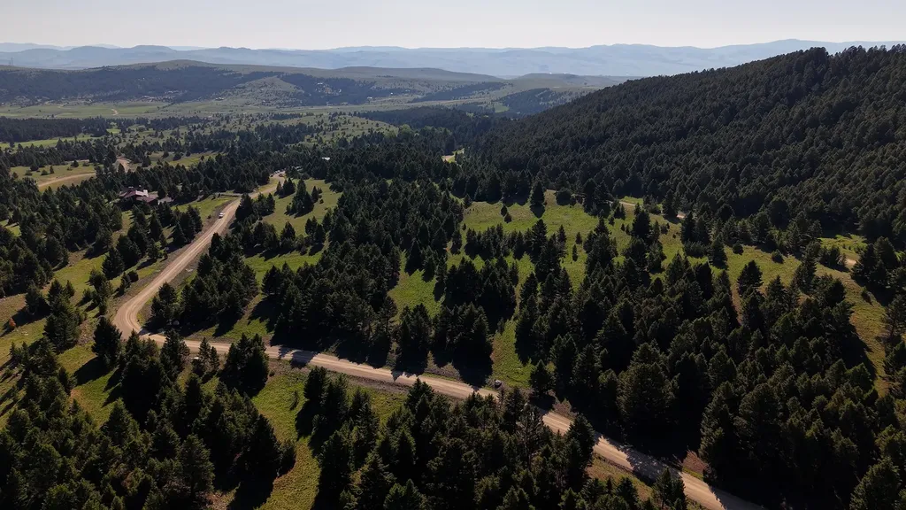 Nhn Lot 6 Phase 3a Dolus Lake Road Deer Lodge MT 59722