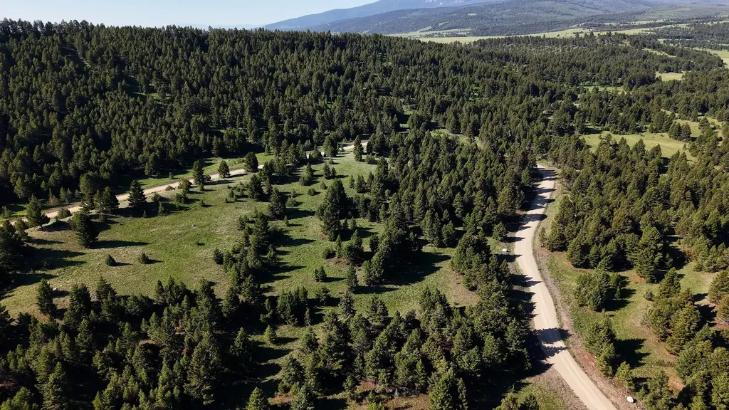 Nhn Lot 6 Phase 3a Dolus Lake Road Deer Lodge MT 59722