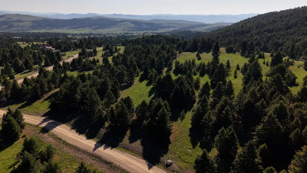 Nhn Lot 6 Phase 3a Dolus Lake Road Deer Lodge MT 59722