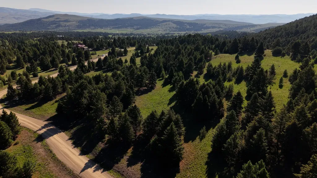 Nhn Lot 6 Phase 3a Dolus Lake Road Deer Lodge MT 59722