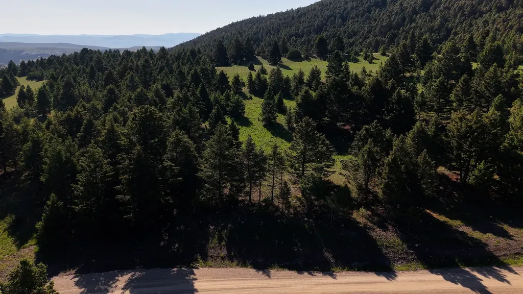 Nhn Lot 6 Phase 3a Dolus Lake Road Deer Lodge MT 59722
