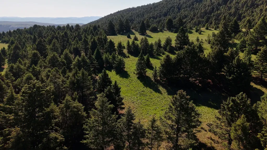 Nhn Lot 6 Phase 3a Dolus Lake Road Deer Lodge MT 59722