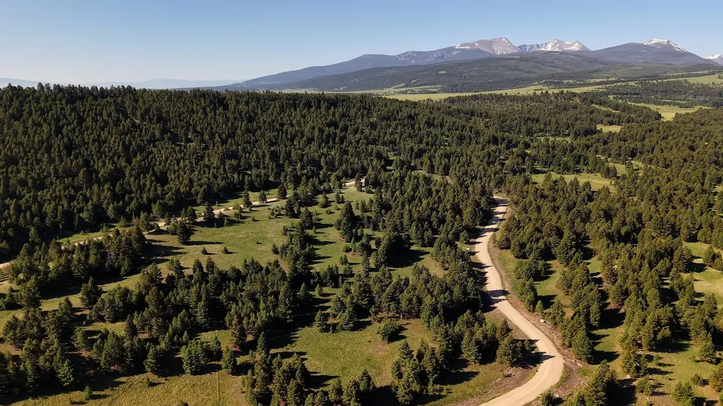Nhn Lot 6 Phase 3a Dolus Lake Road Deer Lodge MT 59722