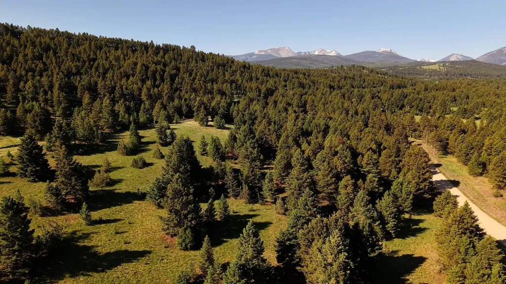 Nhn Lot 6 Phase 3a Dolus Lake Road Deer Lodge MT 59722