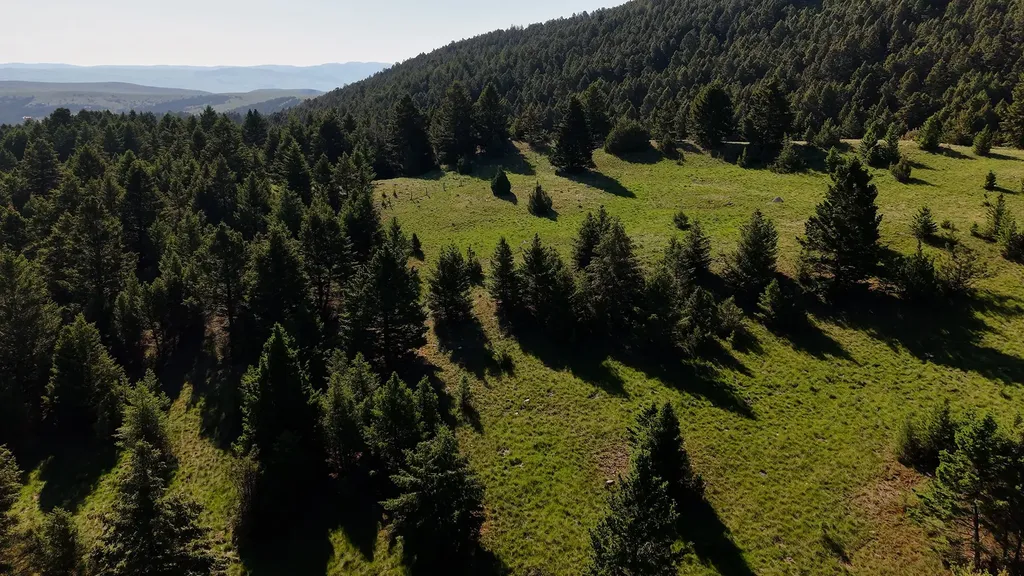 Nhn Lot 6 Phase 3a Dolus Lake Road Deer Lodge MT 59722