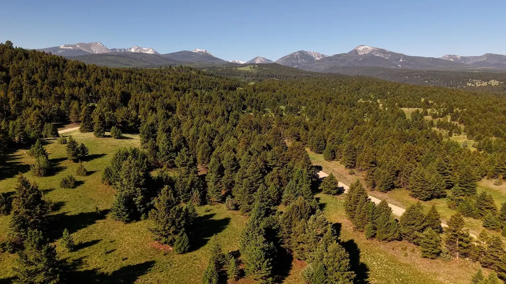 Nhn Lot 6 Phase 3a Dolus Lake Road Deer Lodge MT 59722