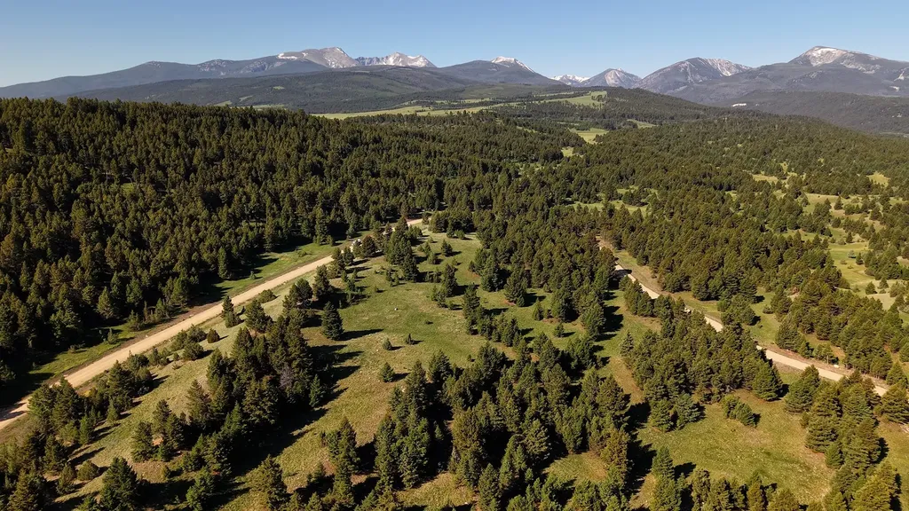 Nhn Lot 6 Phase 3a Dolus Lake Road Deer Lodge MT 59722