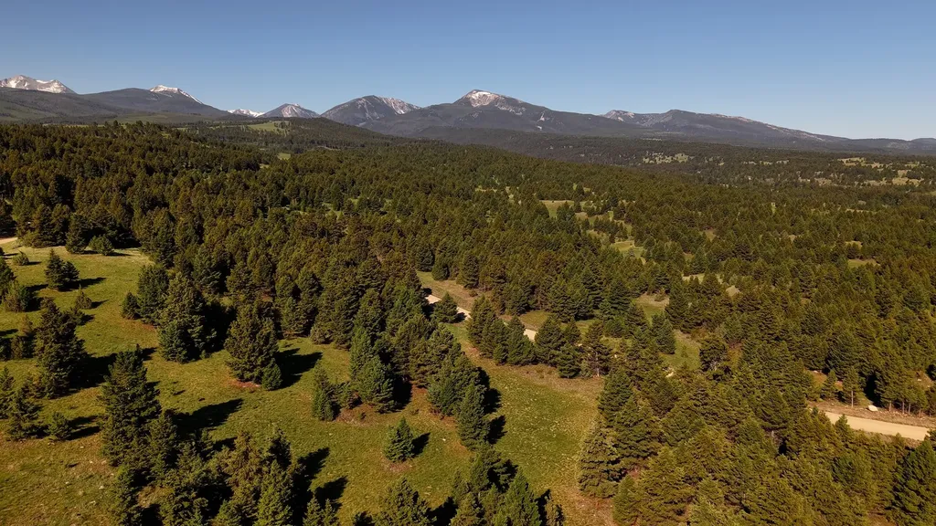 Nhn Lot 6 Phase 3a Dolus Lake Road Deer Lodge MT 59722
