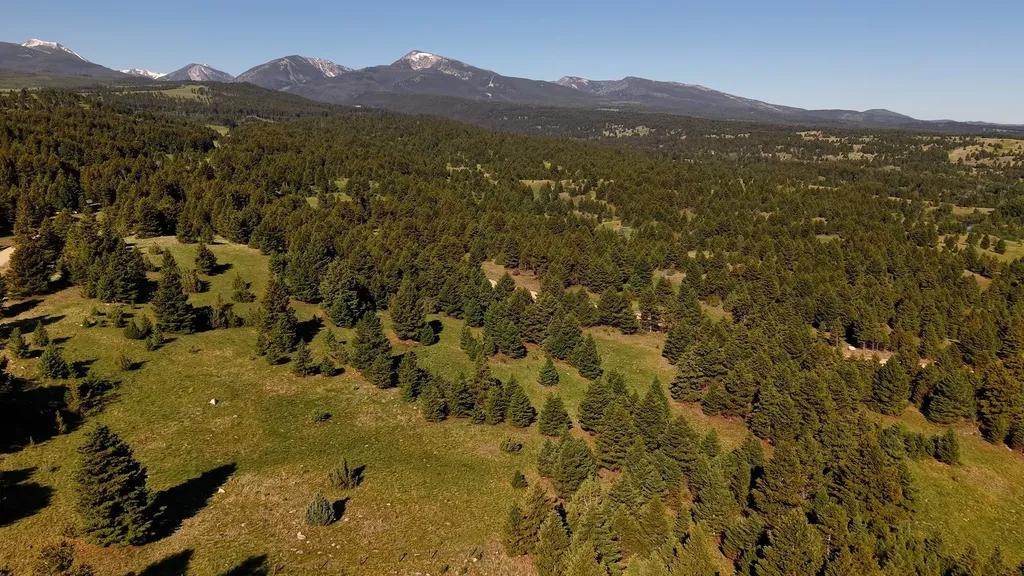 Nhn Lot 6 Phase 3a Dolus Lake Road Deer Lodge MT 59722