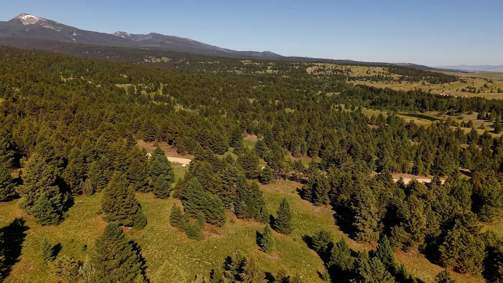 Nhn Lot 6 Phase 3a Dolus Lake Road Deer Lodge MT 59722