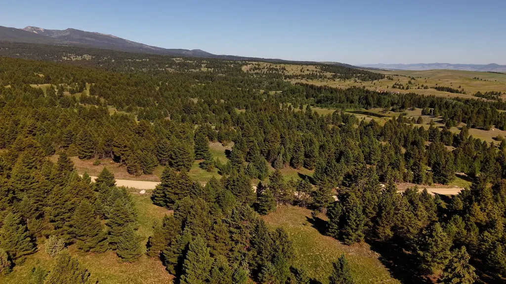 Nhn Lot 6 Phase 3a Dolus Lake Road Deer Lodge MT 59722
