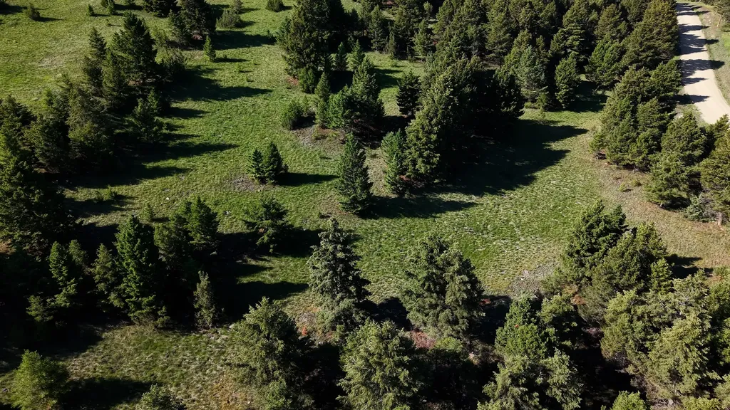 Nhn Lot 6 Phase 3a Dolus Lake Road Deer Lodge MT 59722