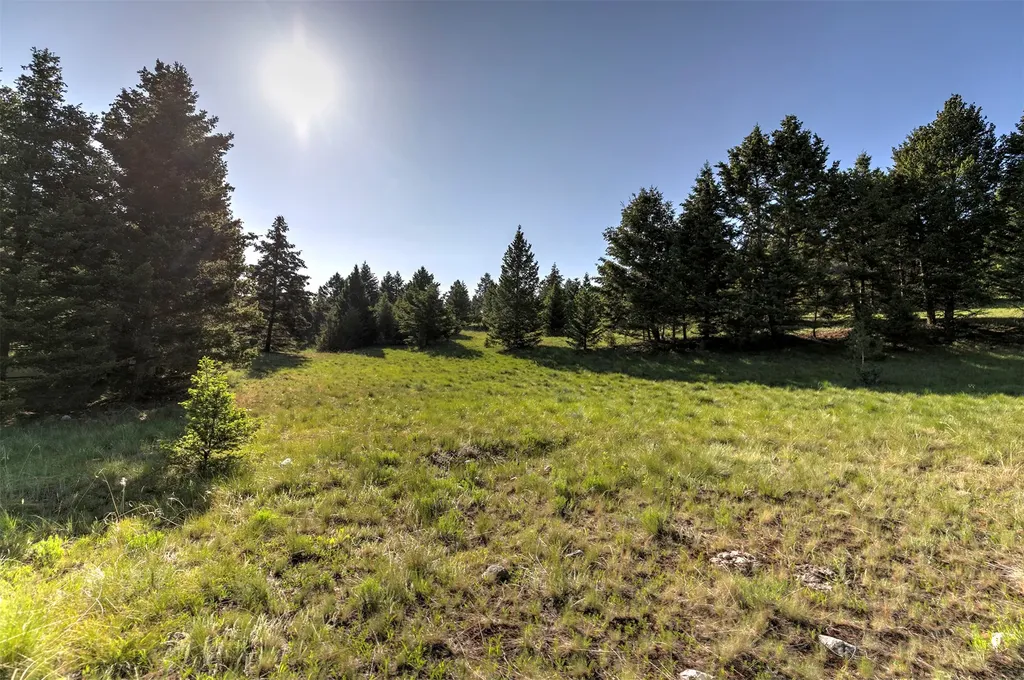 Nhn Lot 6 Phase 3a Dolus Lake Road Deer Lodge MT 59722
