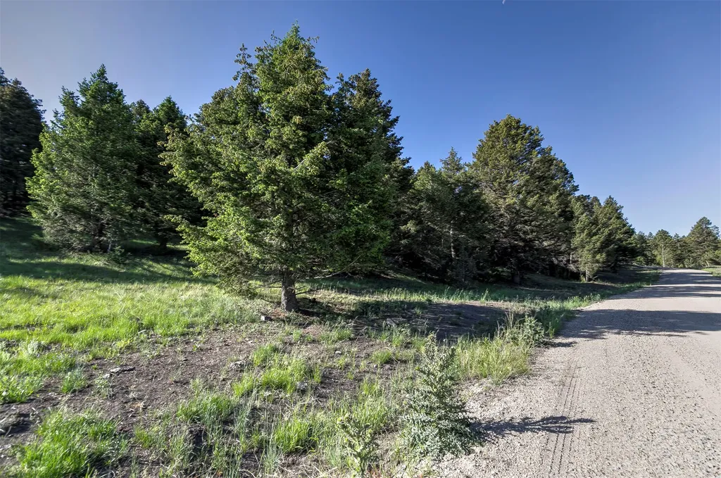Nhn Lot 6 Phase 3a Dolus Lake Road Deer Lodge MT 59722