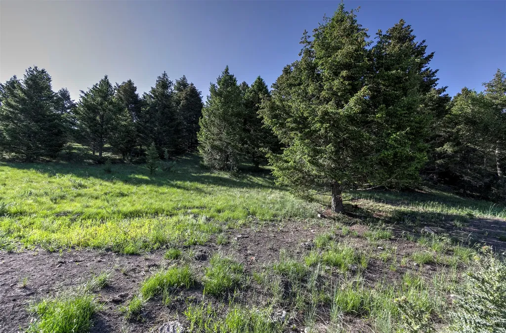 Nhn Lot 6 Phase 3a Dolus Lake Road Deer Lodge MT 59722