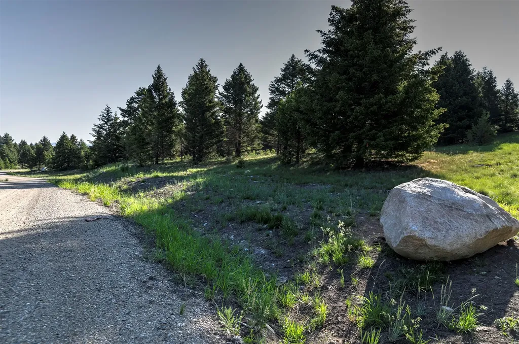 Nhn Lot 6 Phase 3a Dolus Lake Road Deer Lodge MT 59722