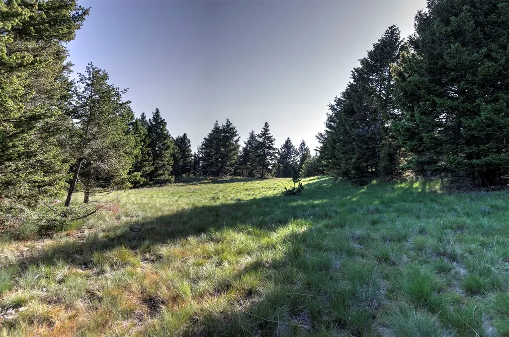 Nhn Lot 6 Phase 3a Dolus Lake Road Deer Lodge MT 59722