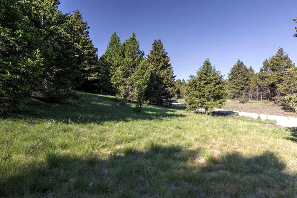Nhn Lot 6 Phase 3a Dolus Lake Road Deer Lodge MT 59722