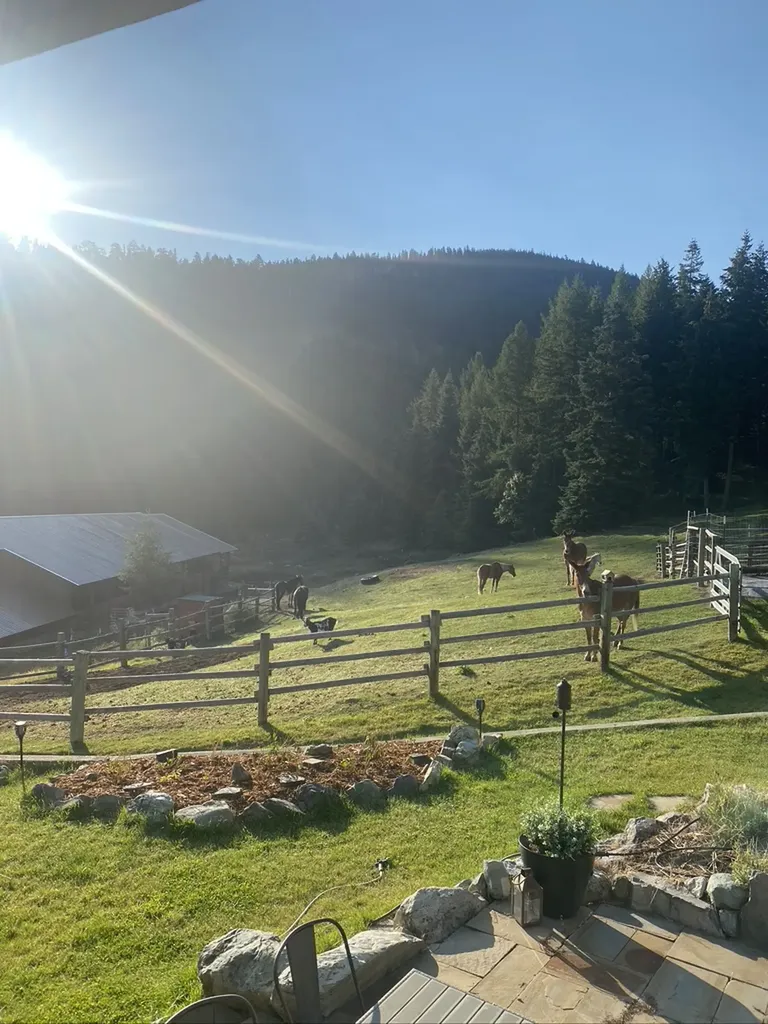 1115 Rogers Lake Road Kila MT 59920