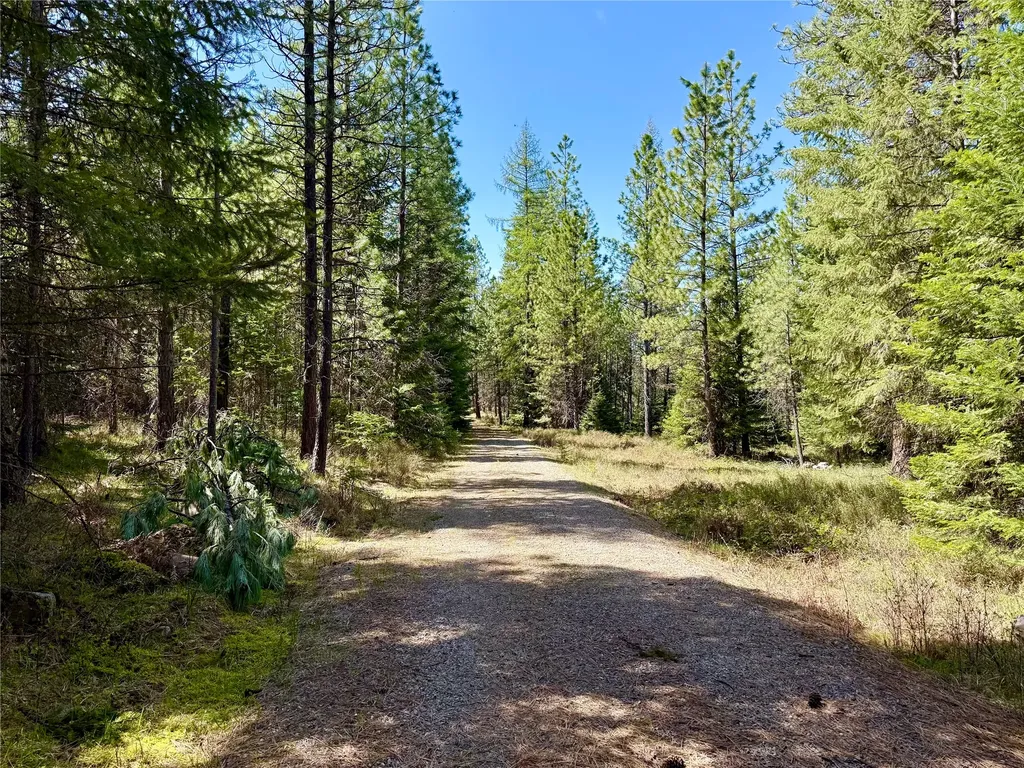 50 Three Corners Road S Trout Creek MT 59874