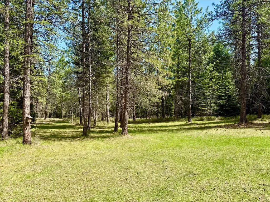 50 Three Corners Road S Trout Creek MT 59874