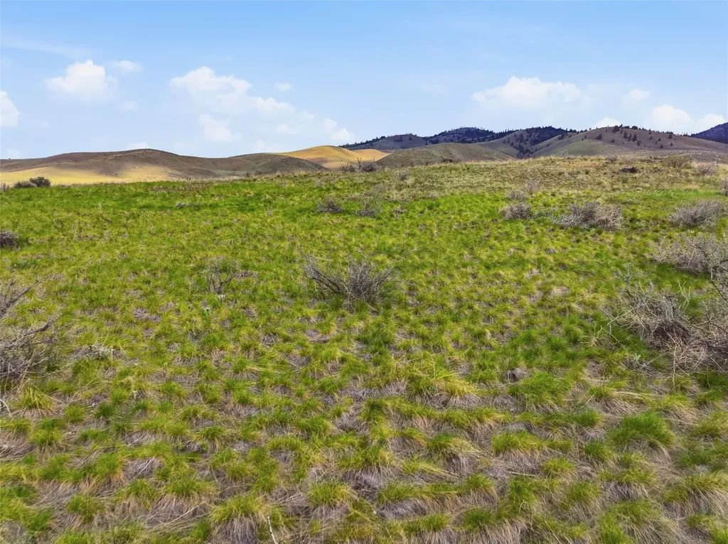 20520 Dawson Drive Florence MT 59833