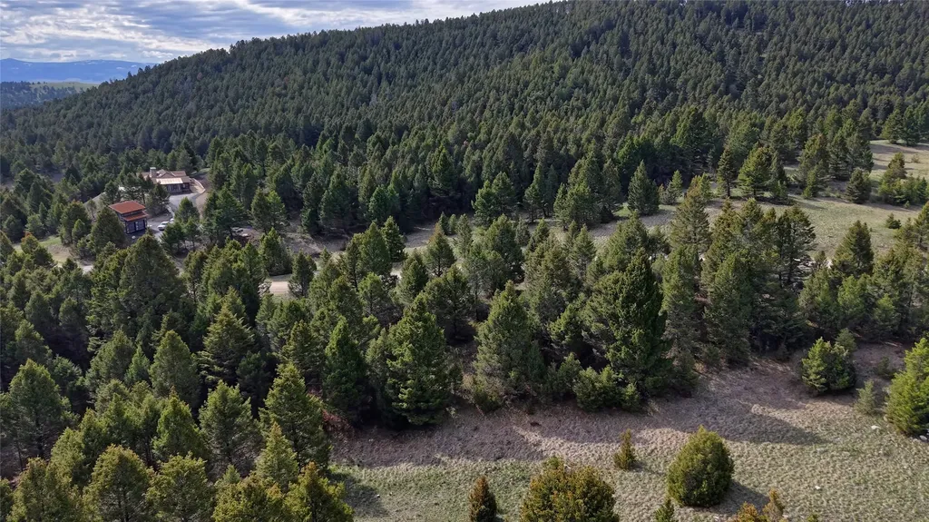 Nhn Lot 26 Phase 3 Dolus Lakes Road Deer Lodge MT 59722