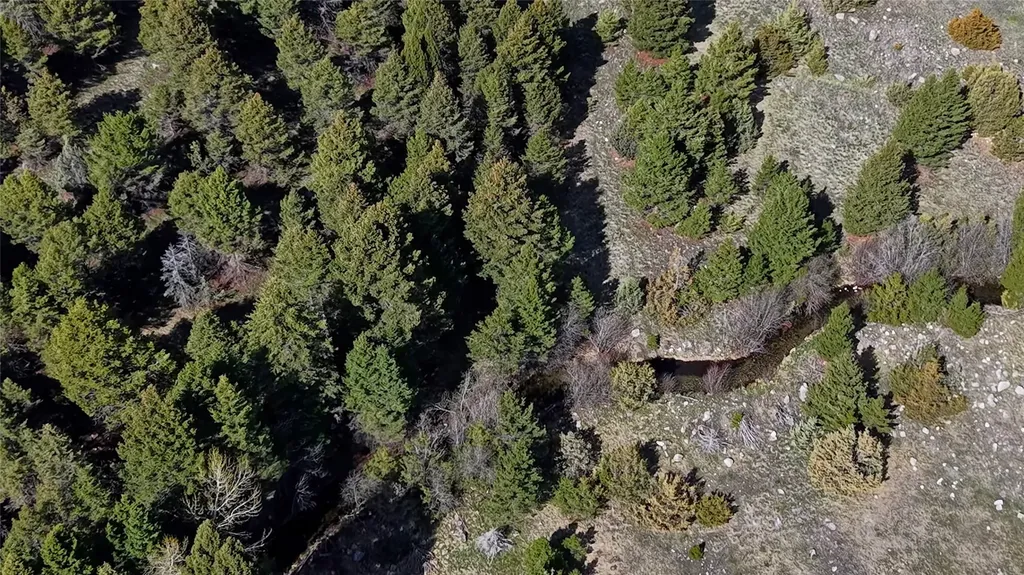 Nhn Lot 28 Phase 3 Dolus Lakes Road Deer Lodge MT 59722