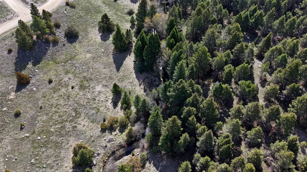 Nhn Lot 28 Phase 3 Dolus Lakes Road Deer Lodge MT 59722