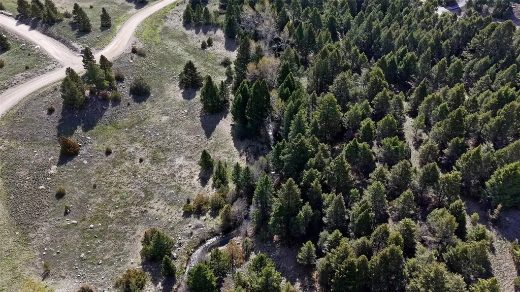 Nhn Lot 28 Phase 3 Dolus Lakes Road Deer Lodge MT 59722