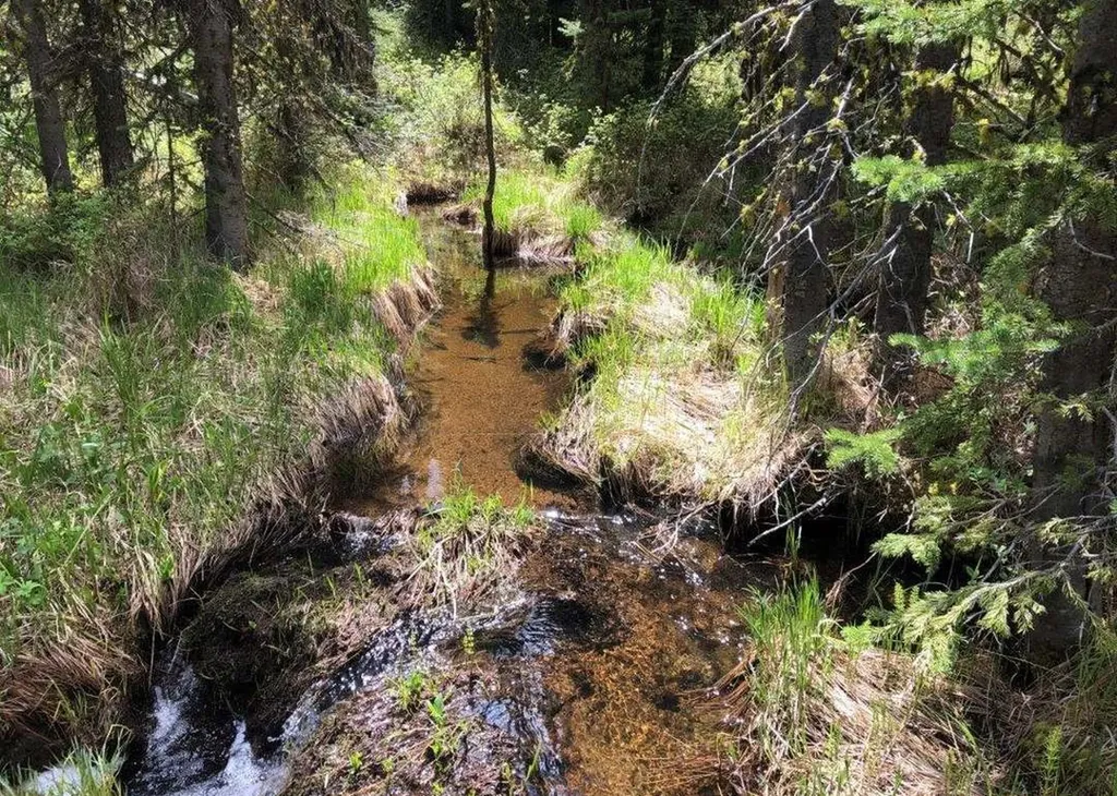 7524 Lower Telegraph Creek Road Elliston MT 59728