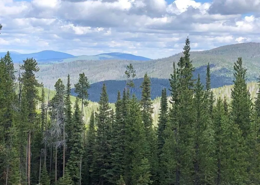 7524 Lower Telegraph Creek Road Elliston MT 59728