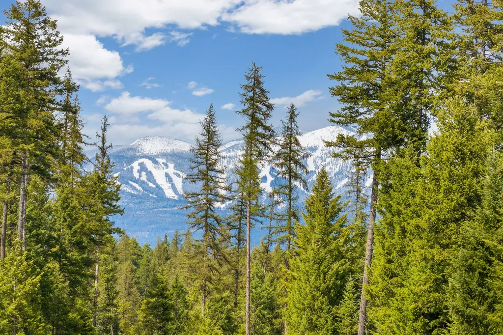 1157 Whitefish Village Drive Whitefish MT 59937