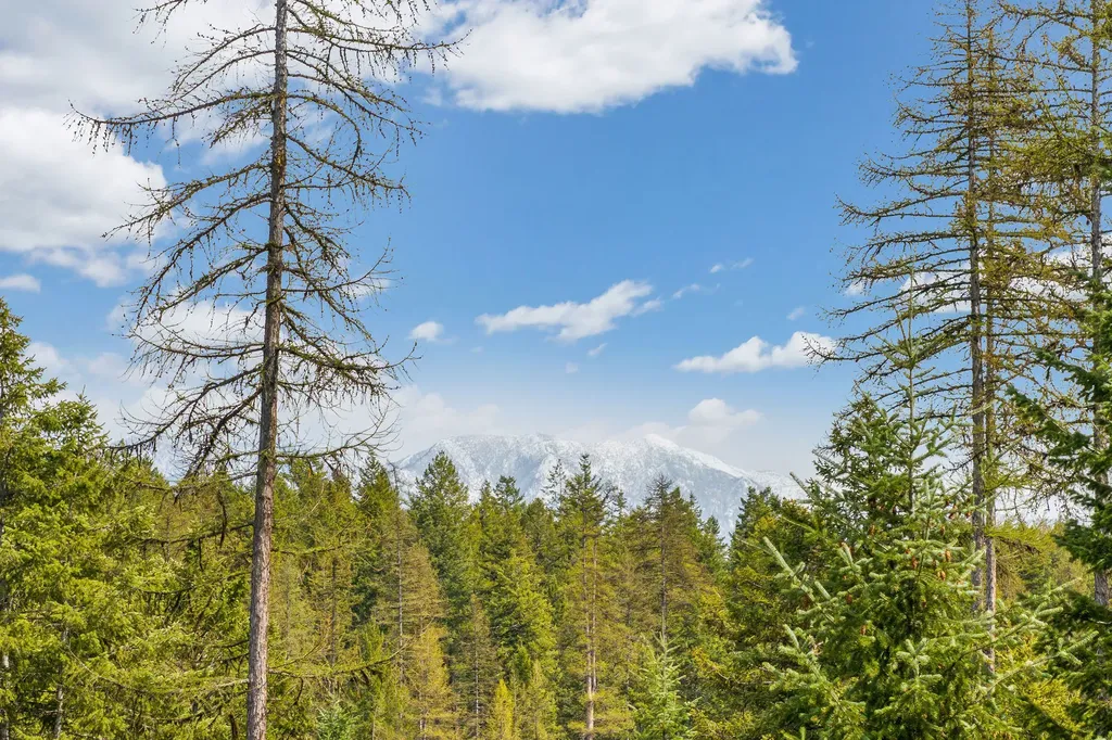 1157 Whitefish Village Drive Whitefish MT 59937