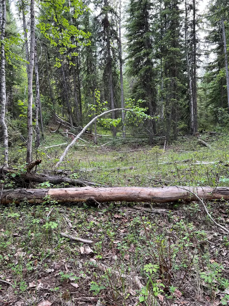 Nhn Soaring Eagle Trail Fortine MT 59918