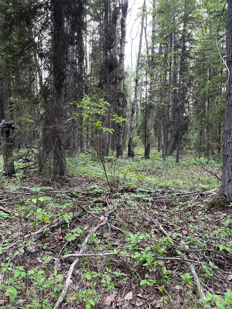 Nhn Soaring Eagle Trail Fortine MT 59918