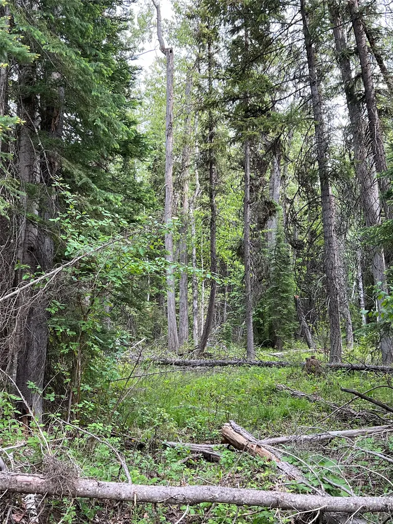 Nhn Soaring Eagle Trail Fortine MT 59918