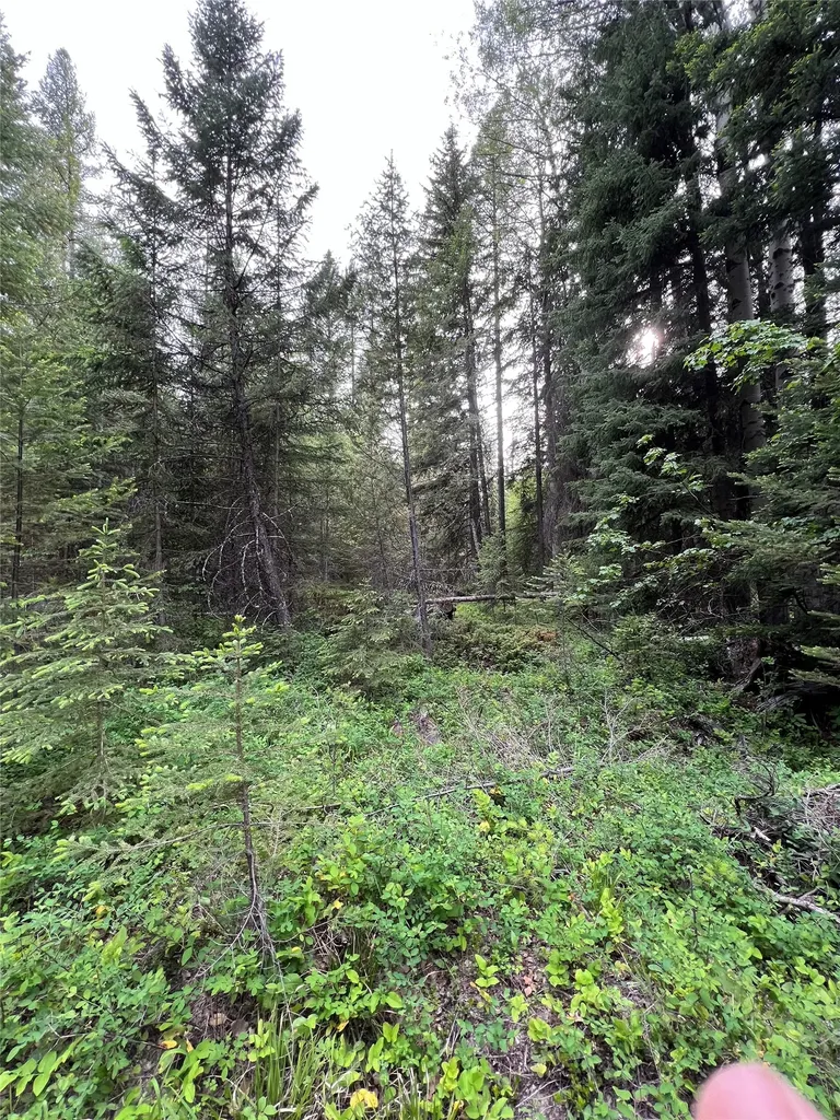 Nhn Soaring Eagle Trail Fortine MT 59918