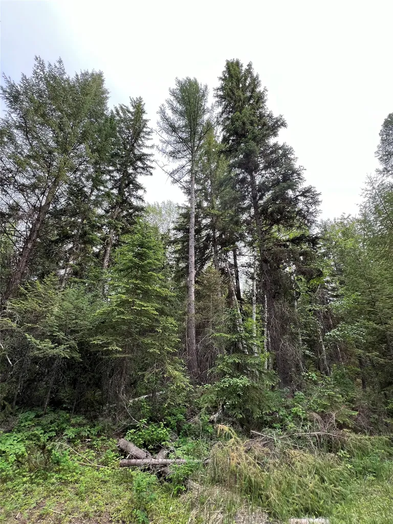 Nhn Soaring Eagle Trail Fortine MT 59918