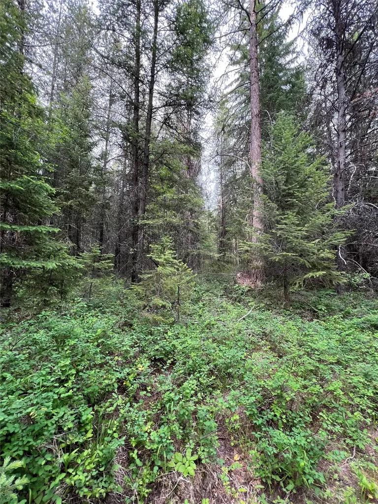 Nhn Soaring Eagle Trail Fortine MT 59918