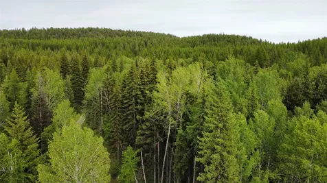 NHN Soaring Eagle Trail Fortine MT 59918