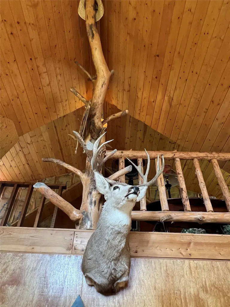 347 Soaring Eagle Trail Fortine MT 59918