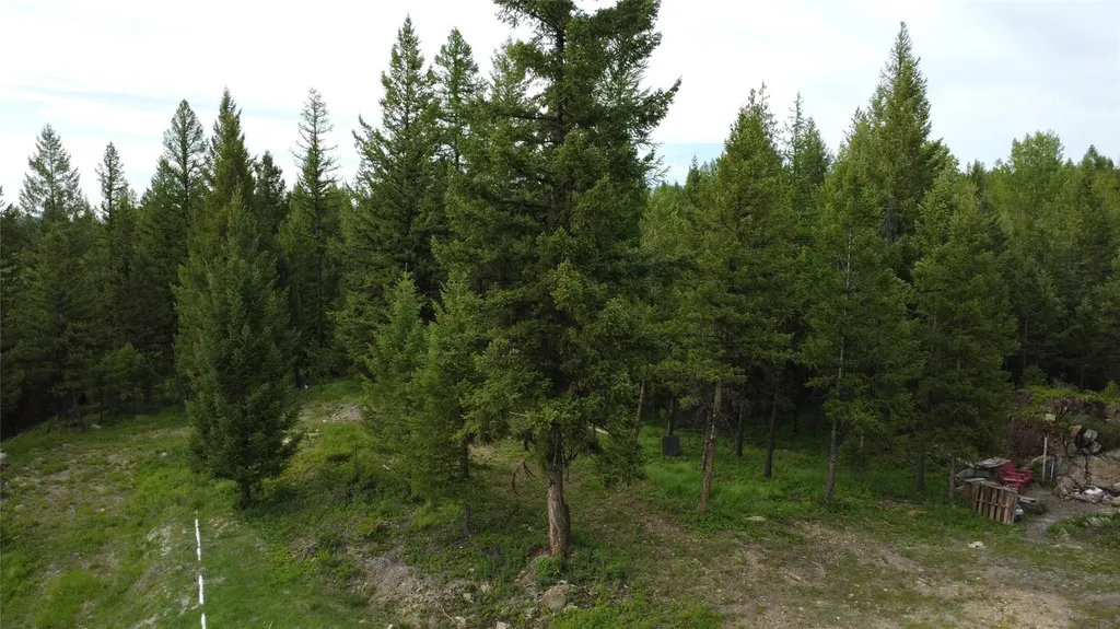 347 Soaring Eagle Trail Fortine MT 59918